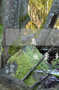商標(biāo)侵權(quán)訴訟一般要多久