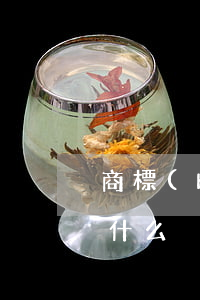 商標(biāo)信息變更證明書件格式是什么