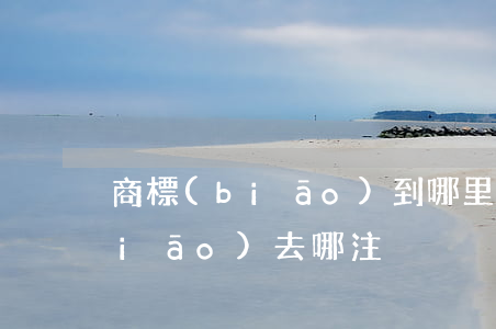 商標(biāo)到哪里注冊(注冊商標(biāo)去哪注冊)