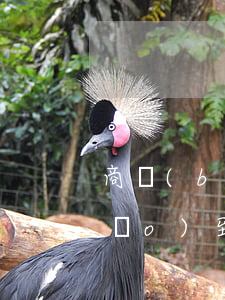商標(biāo)到期怎么處理,商標(biāo)到期了去哪里辦理