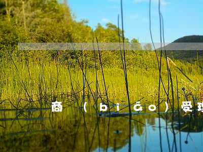 商標(biāo)受理通知書(shū)