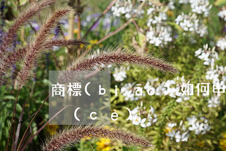 商標(biāo)如何申請(qǐng)注冊(cè)