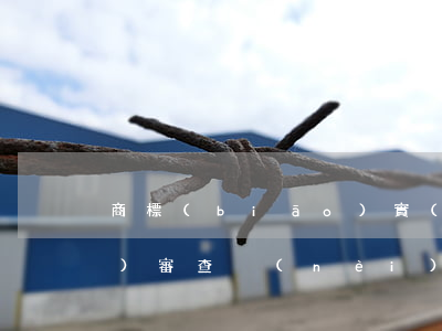 商標(biāo)實(shí)質(zhì)審查內(nèi)容有什么