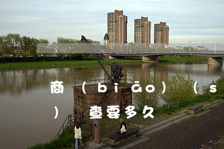商標(biāo)實(shí)質(zhì)審查要多久