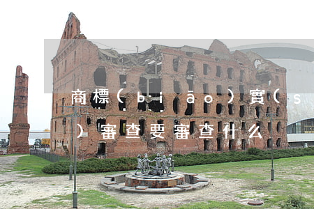 商標(biāo)實(shí)質(zhì)審查要審查什么