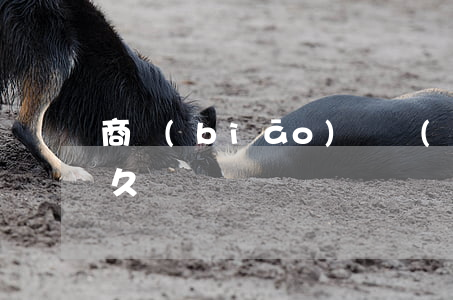 商標(biāo)實質(zhì)審查要多久