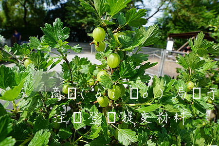 商標(biāo)局屬于哪個部門（注冊公司注銷登記提交材料）