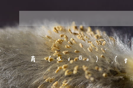 商標(biāo)權(quán)過期怎么辦