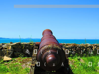 商標(biāo)注冊(cè)實(shí)質(zhì)審查