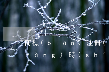 商標(biāo)注冊(cè)要多長(zhǎng)時(shí)間(商標(biāo)注冊(cè)申請(qǐng)多長(zhǎng)時(shí)間)