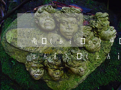 商標(biāo)申請(qǐng)的實(shí)質(zhì)審查是什么