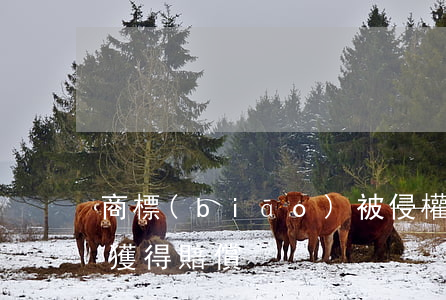 商標(biāo)被侵權(quán)如何獲得賠償