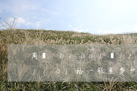 商標(biāo)轉(zhuǎn)讓價(jià)格一般是多少