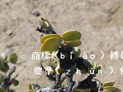 商標(biāo)轉(zhuǎn)讓后還要準(zhǔn)備變更嗎