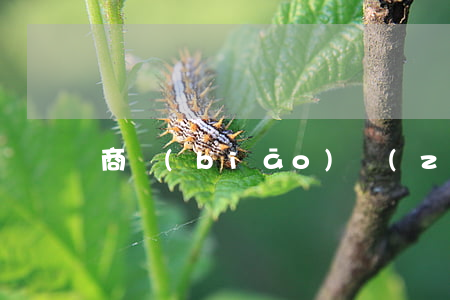 商標(biāo)轉(zhuǎn)讓多少錢