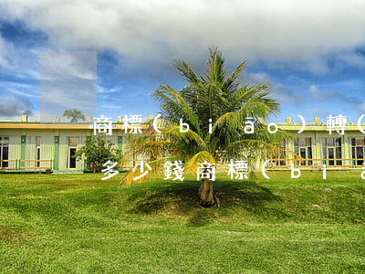 商標(biāo)轉(zhuǎn)讓大概多少錢(商標(biāo)轉(zhuǎn)讓價(jià)格商標(biāo)轉(zhuǎn)讓的價(jià)格)