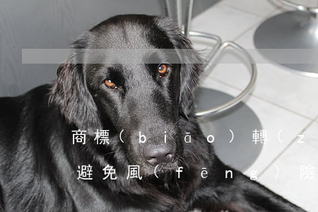 商標(biāo)轉(zhuǎn)讓如何避免風(fēng)險(xiǎn)