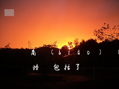 商標(biāo)轉(zhuǎn)讓無效情況包括了幾種