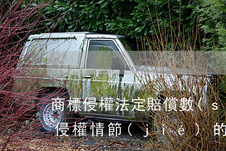 商標侵權法定賠償數(shù)額的確定與侵權情節(jié)的關系