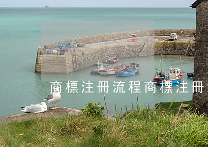 商標注冊流程(商標注冊流程及材料)