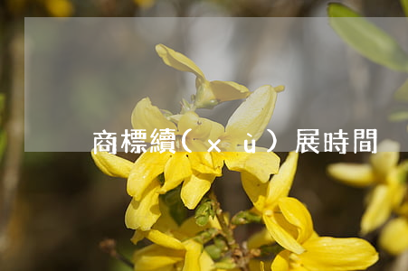 商標續(xù)展時間