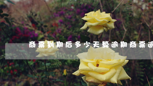 商票到期后多少天算逾期（商票逾期兩年）
