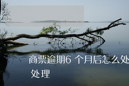 商票逾期6个月后怎么处理-商票逾期如何处理