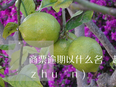 商票逾期以什么名義起訴 逾期商票可以轉(zhuǎn)讓嗎