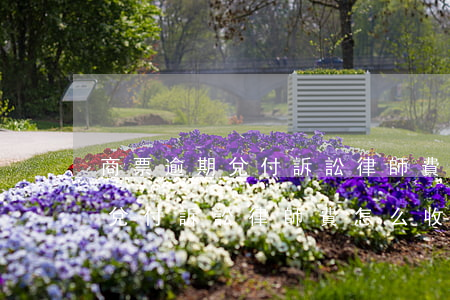 商票逾期兌付訴訟律師費怎么收-商票逾期兌付訴訟律師費怎么收取