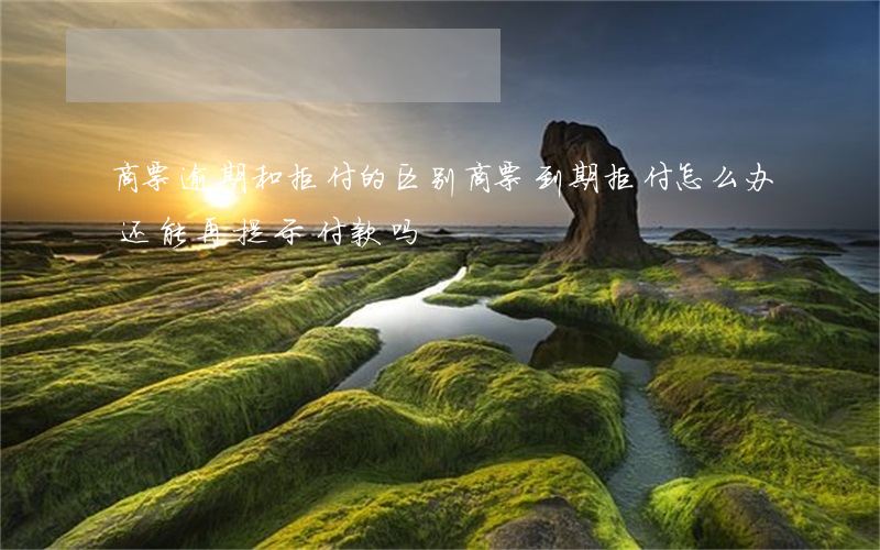 商票逾期和拒付的区别(商票到期拒付怎么办,还能再提示付款吗)