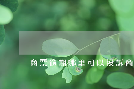 商票逾期哪里可以投訴 商票逾期怎么辦