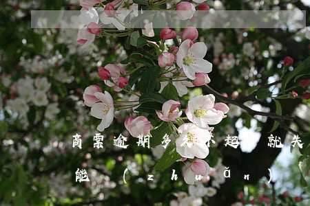 商票逾期多久不起訴就失效了(商票逾期了還能轉(zhuǎn)讓嗎)