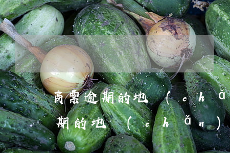 商票逾期的地產(chǎn)公司-商票逾期的地產(chǎn)公司怎么處理
