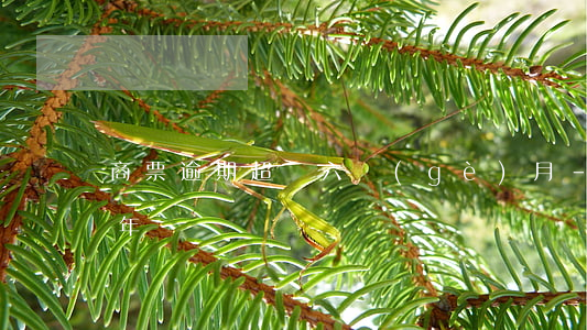 商票逾期超過六個(gè)月-商票逾期半年