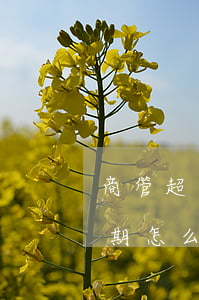 商管超市逾期退货未退走如何处理-商超到期怎么办