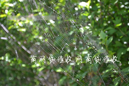 商网贷催收,网商贷 催收 商网贷催收,网商贷 催收