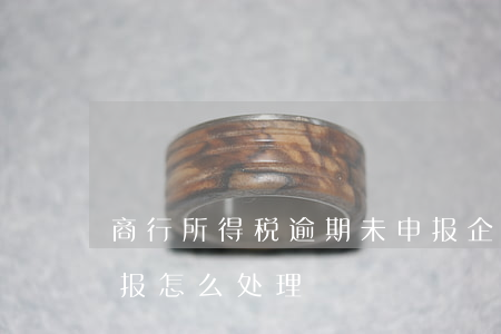 商行所得税逾期未申报(企业所得税逾期未申报怎么处理)