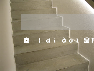 商調(diào)是什么意思