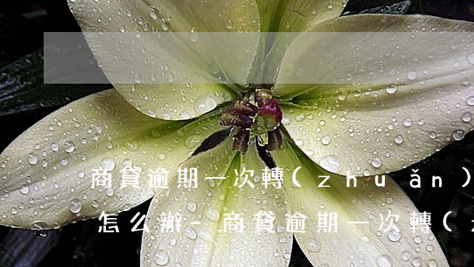 商貸逾期一次轉(zhuǎn)不了公積金怎么辦-商貸逾期一次轉(zhuǎn)不了公積金怎么辦呢