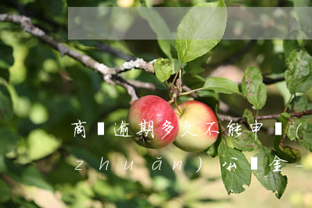商貸逾期多久不能申請(qǐng)商轉(zhuǎn)公積金-商貸逾期多久不能申請(qǐng)商轉(zhuǎn)公積金了