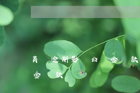 商貸逾期影響公積金貸款(商貸逾期影響公積金貸款嗎)