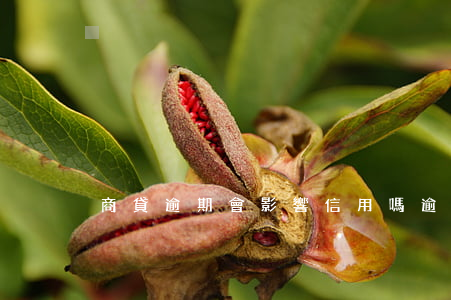 商貸逾期會影響信用嗎（逾期還可以商貸嗎）