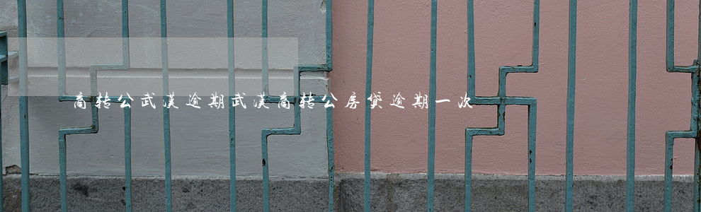 商转公武汉逾期(武汉商转公房贷逾期一次)