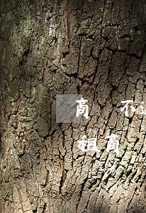 商鋪不返租金銀行按揭貸款還不上怎么辦（返租商鋪還不起貸款）