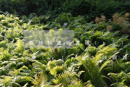 商鋪拆遷,拆遷補(bǔ)償協(xié)議應(yīng)該跟誰簽訂