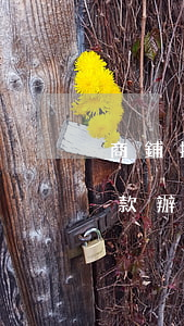 商鋪按揭貸款無(wú)力償還 商鋪按揭貸款辦不下來(lái)能退嗎