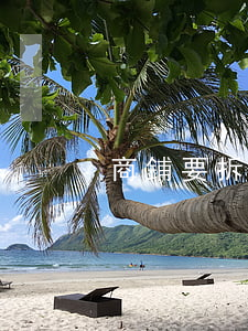 商鋪要拆遷了能轉讓嗎