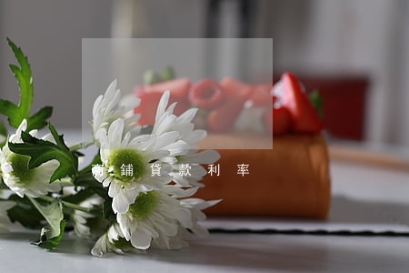 商鋪貸款利率