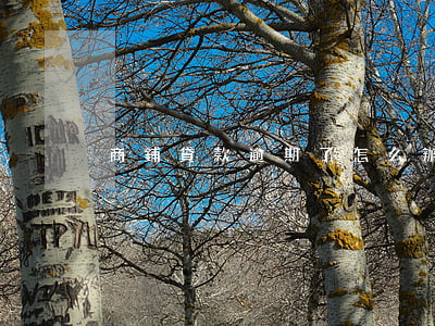 商鋪貸款逾期了怎么辦(商鋪逾期交房怎么辦)