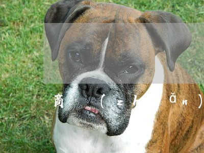 商鋪轉(zhuǎn)租合同